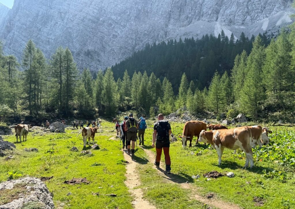Tabor Mladih Planincev Dovje 2025