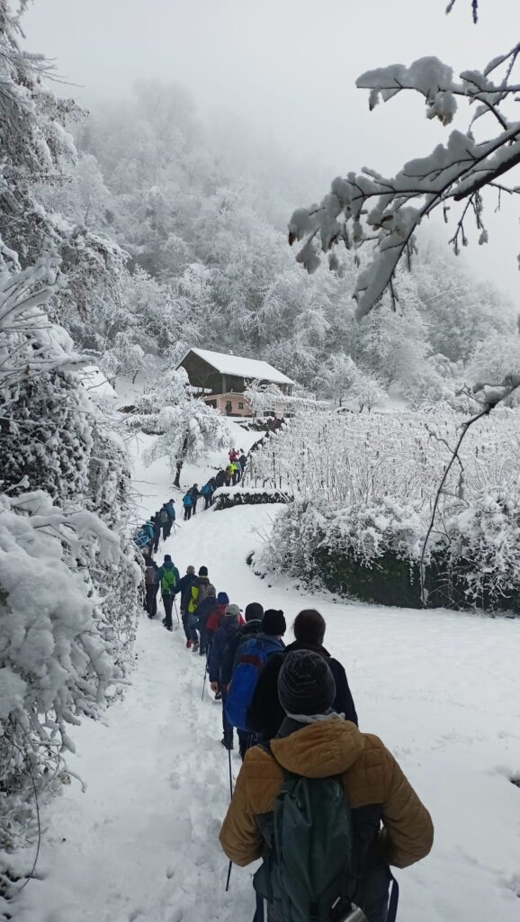 Pohod na Štefanovo 26.12.2025 (342m)